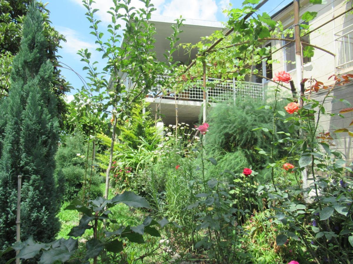 Kote.Ge Hotel Lagodekhi Exterior photo